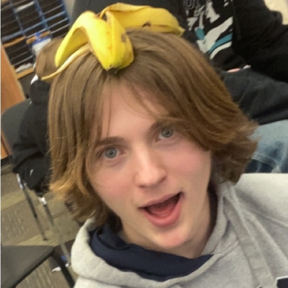 Meet your Posher, Kieran - Picture 1 of 1